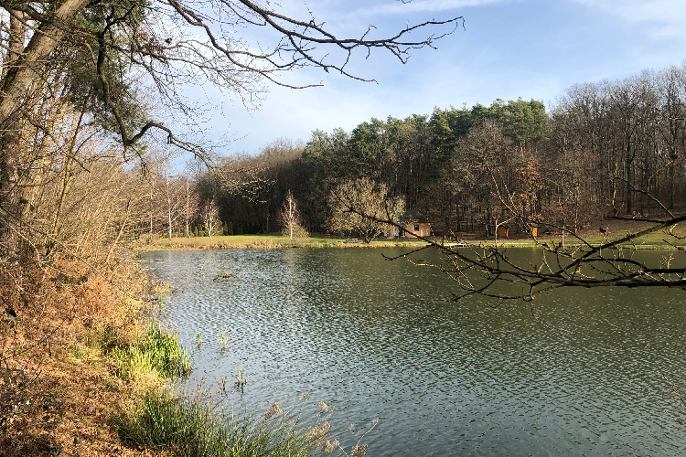 Emlak macaristan-emlak-yatirimi-125454